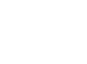 Ark Bonds Logo