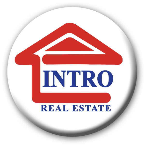 Intro Real Estate logo