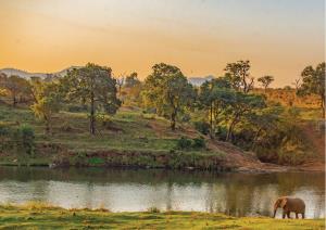 A Luxury Paradise Bordering Kruger National Park