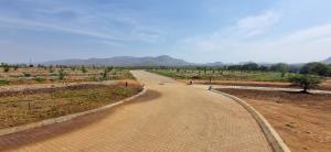 A Luxury Paradise Bordering Kruger National Park