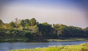 A Luxury Paradise Bordering Kruger National Park