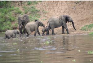 A Luxury Paradise Bordering Kruger National Park
