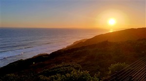 Paradise Coast