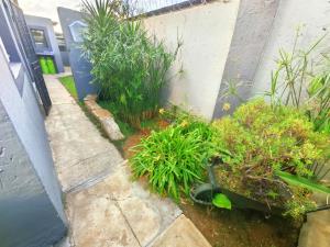 House For Sale in Anzac, Brakpan - P989566