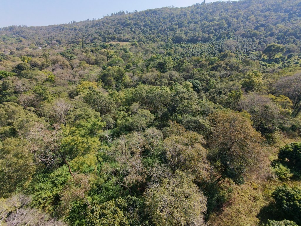 Vacant Small Holding For Sale in Broederstroomdrift AH, Tzaneen Rural, Tzaneen