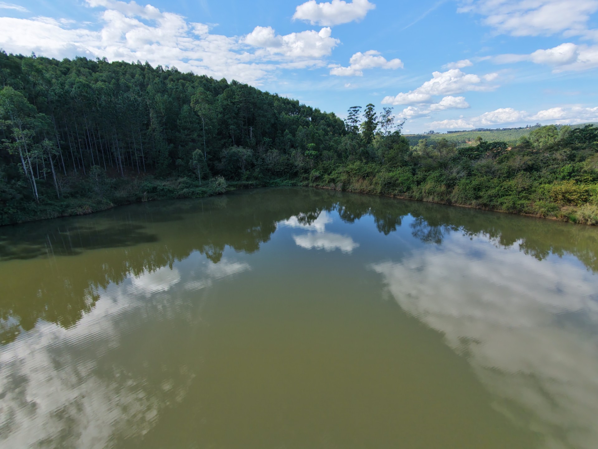 Mixed Fruit Farm For Sale in Tzaneen Rural, Tzaneen