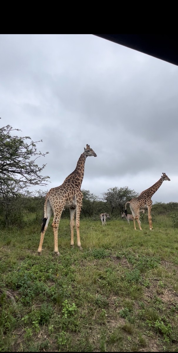 Farm for sale in Camperdown Rural, Camperdown, KwaZulu Natal, 1650000 m²