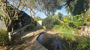 Guest House For Sale in Capricorn, Polokwane - P1613633