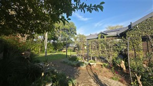 Guest House For Sale in Capricorn, Polokwane - P1613633