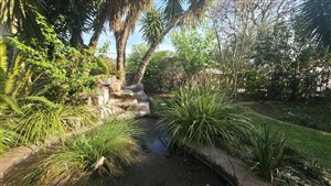 Guest House For Sale in Capricorn, Polokwane - P1613633