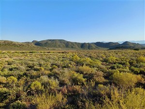 Vacant Land For Sale in Oudtshoorn Rural, Oudtshoorn - P1625221
