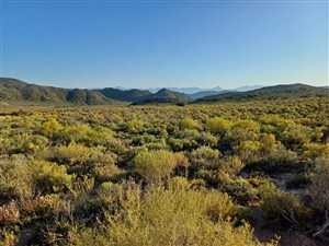 Vacant Land For Sale in Oudtshoorn Rural, Oudtshoorn - P1625221