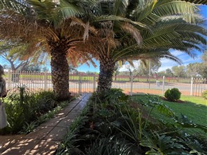 House For Sale in Verwoerdpark Kimberley Northern Cape - P1625778