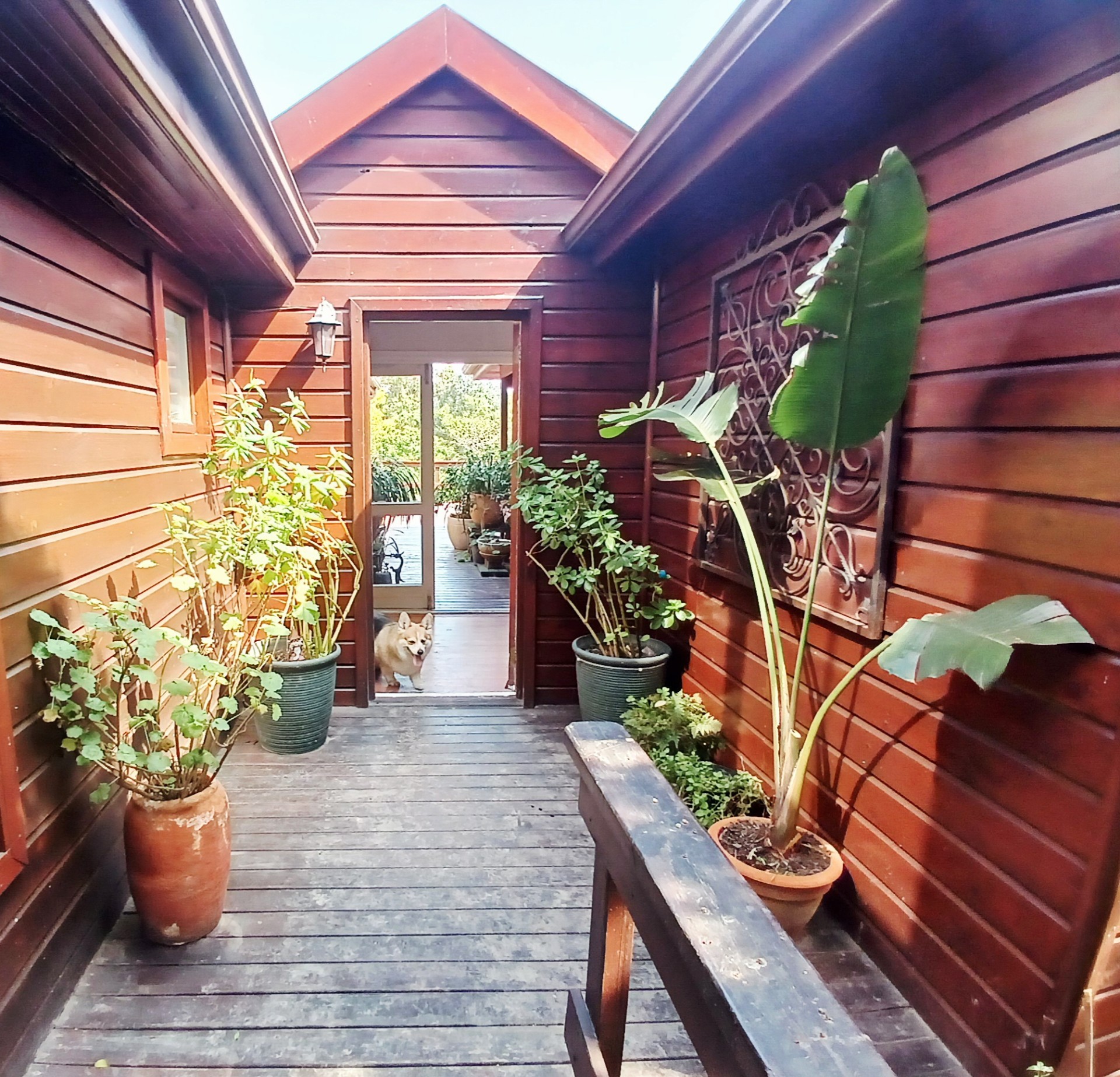 House for sale in Hunters Home, Knysna, 21A Lindsay Street, Hunters Home, Knysna, Western Cape, 350 m²