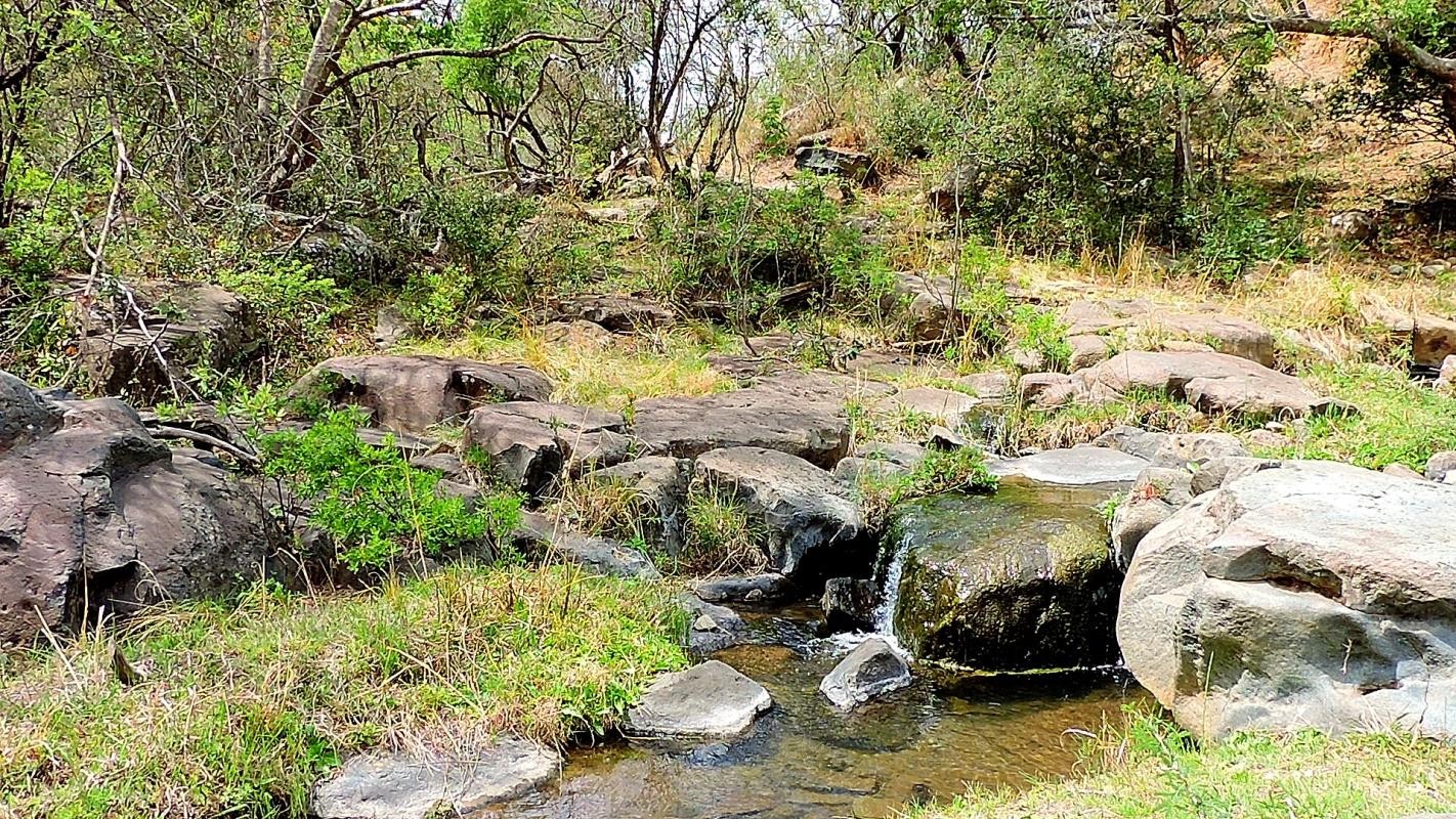 Farm For Sale in Lydenburg Rural, Lydenburg