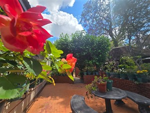 House For Sale in Polokwane Central, Polokwane - P1629789