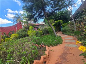 House For Sale in Polokwane Central, Polokwane - P1629789
