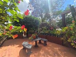House For Sale in Polokwane Central, Polokwane - P1629789