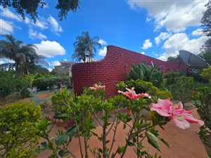 House For Sale in Polokwane Central, Polokwane - P1629789