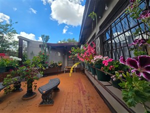 House For Sale in Polokwane Central, Polokwane - P1629789