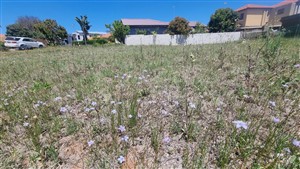 Vacant Land For Sale in Bendor, Polokwane - P1632540