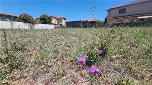 Vacant Land For Sale in Bendor, Polokwane - P1632540