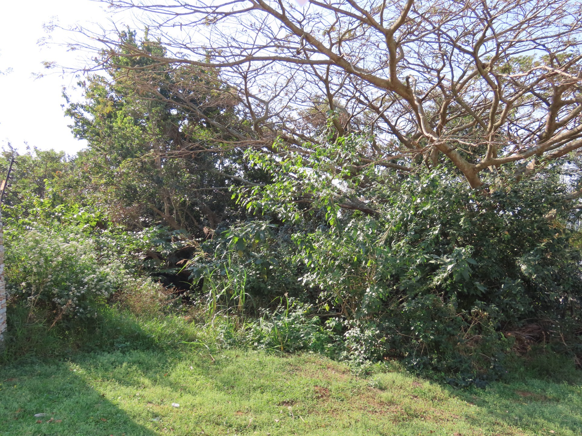 Prime vacant land in sought-after salt rock, privacy and freedom