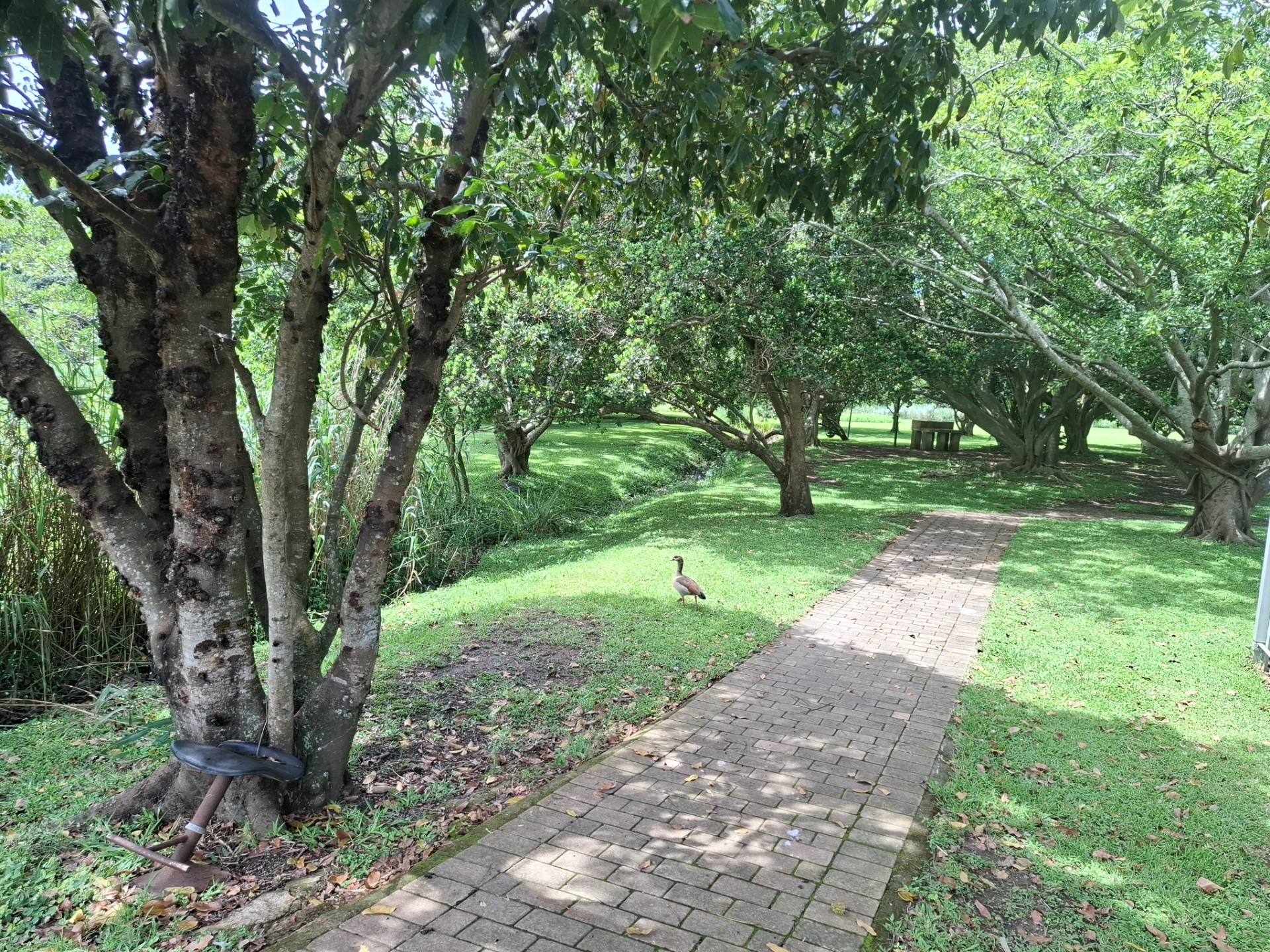 Vacant Land for sale in Shelly Beach, Margate, KwaZulu Natal, 2021 2021, Palm Kloof Estate, 2020 Marine Drive, Shelly Beach, Margate, KwaZulu Natal, 808 m²